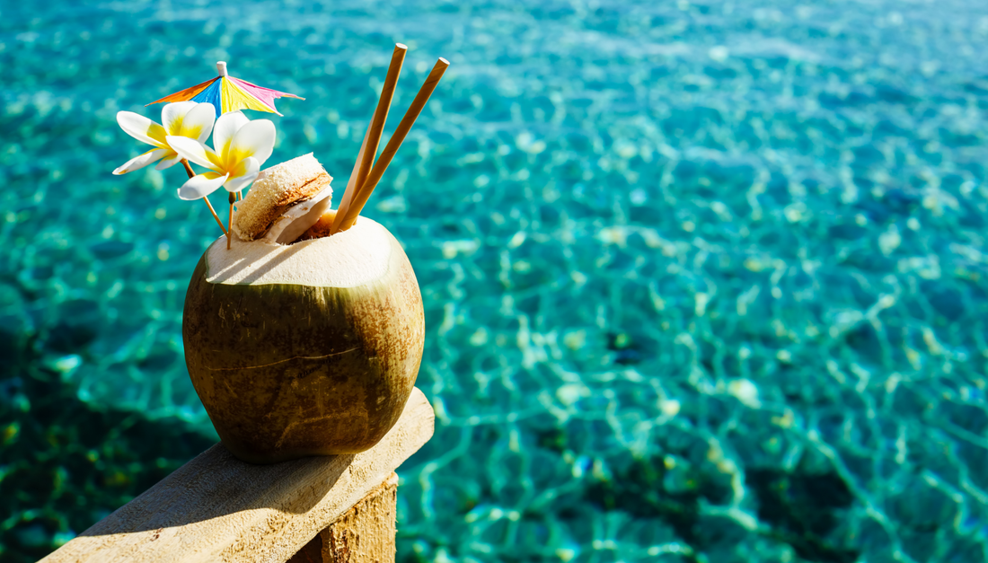 Refreshing Organic Coconut Water Is A Healthy Tropical Beverage Choice From Terra Powders